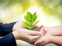 HƯỚNG DẪN NHÀ HẢO TÂM CÁCH THỨC ĐÓNG GÓP VÀ XÁC NHẬN ĐÓNG GÓP
