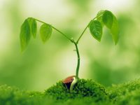 NGHỊ LỰC CỦA NHỮNG NGƯỜI PHỤ NỮ KHIẾM THỊ