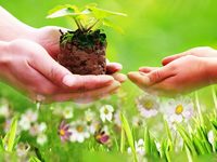HAI CÂU CHUYỆN Ý NGHĨA KHIẾN BẠN TIN: ĐIỀU KÝ DIỆU SẼ ĐẾN VỚI NHỮNG NGƯỜI BIẾT “CHO ĐI…”